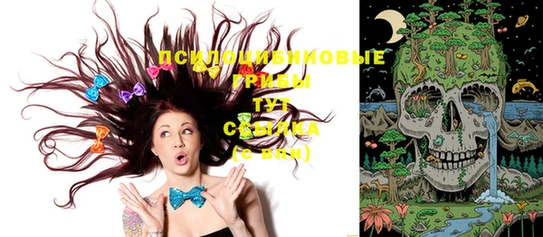 прущая мука Осинники