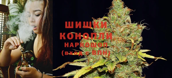 PSILOCYBIN Абаза