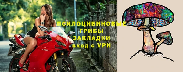 гидра Абдулино