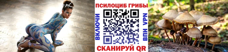 цена наркотик  Тобольск  Галлюциногенные грибы мицелий 